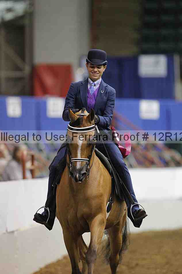 Proof Number 12r12_7532