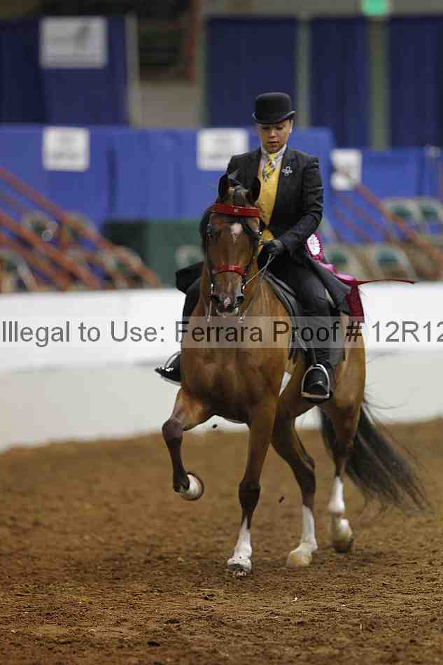 Proof Number 12r12_7535