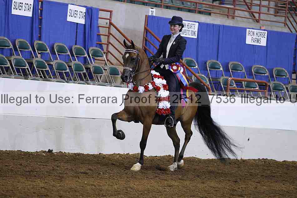 Proof Number 12r12_7536