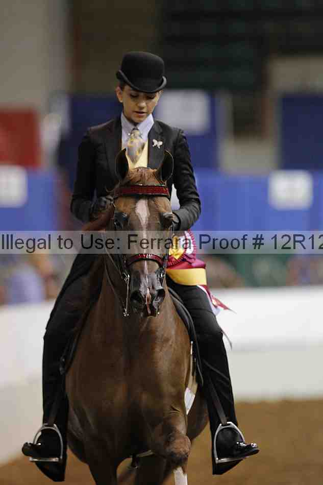 Proof Number 12r12_7542