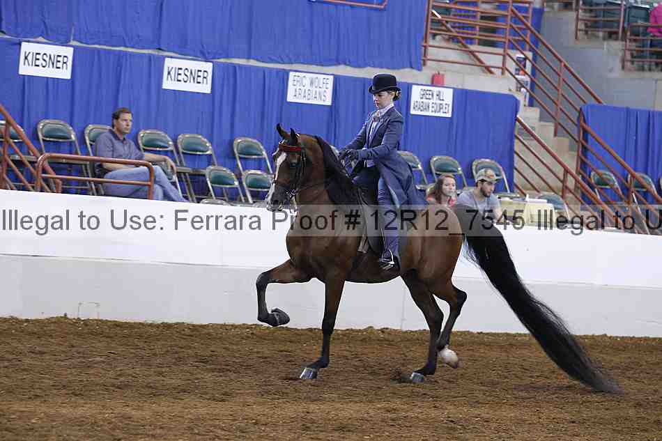 Proof Number 12r12_7545