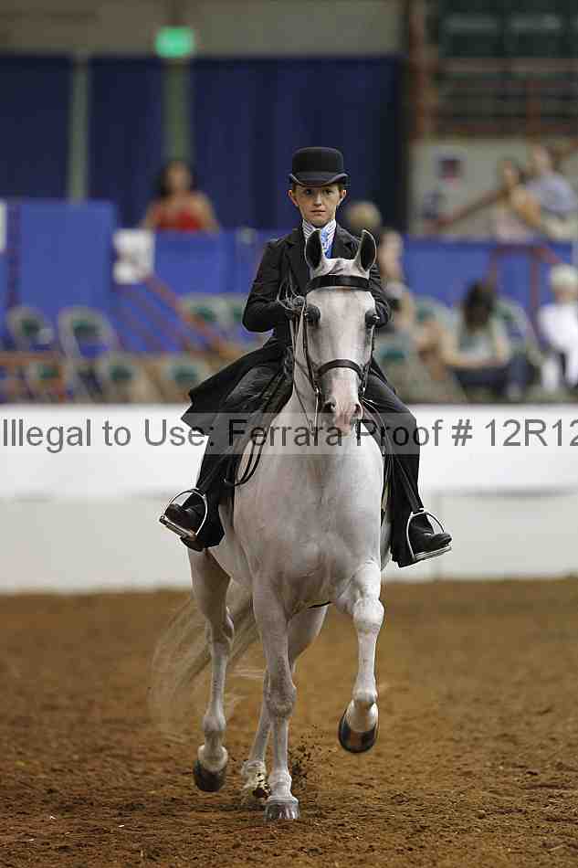 Proof Number 12r12_7555