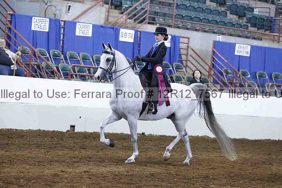 Proof Number 12r12_7567