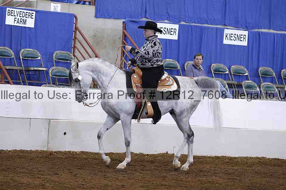 Proof Number 12r12_7608
