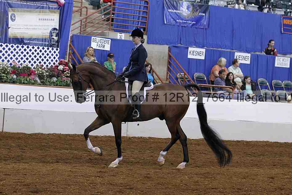 Proof Number 12r12_7664