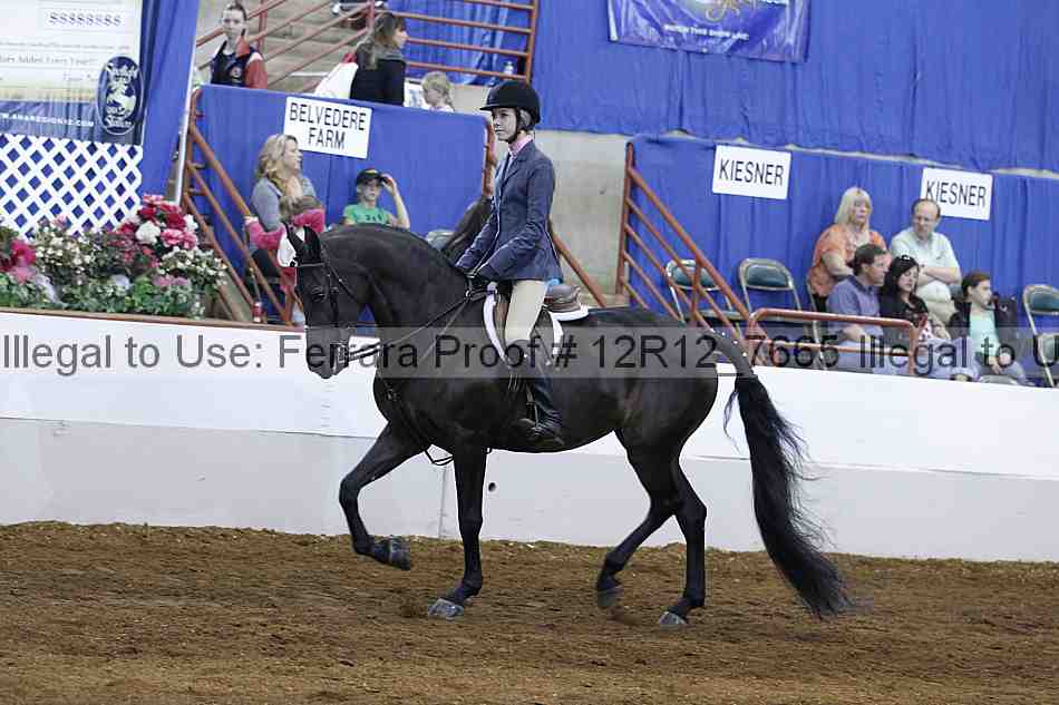Proof Number 12r12_7665