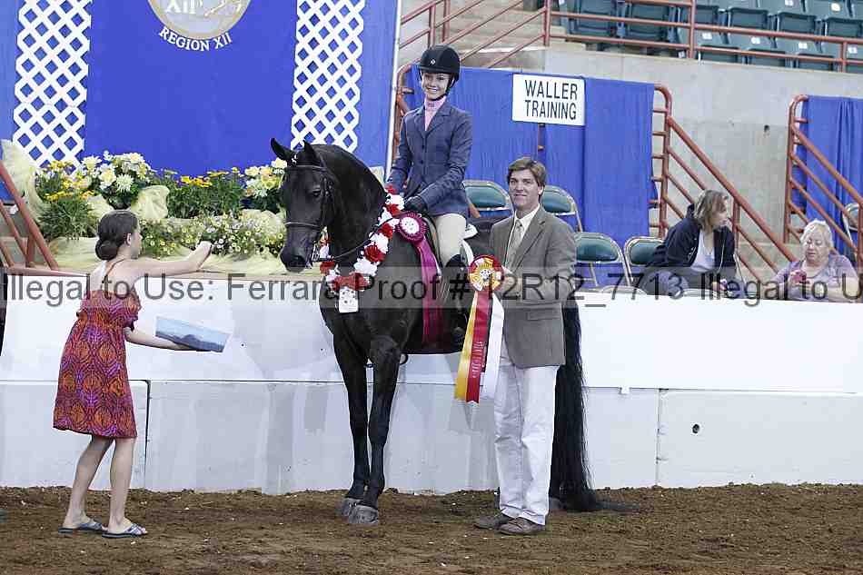 Proof Number 12r12_7713