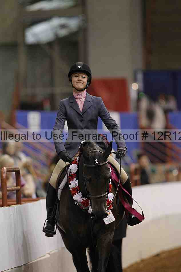Proof Number 12r12_7717