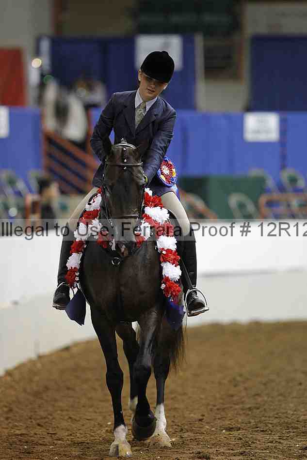 Proof Number 12r12_7726