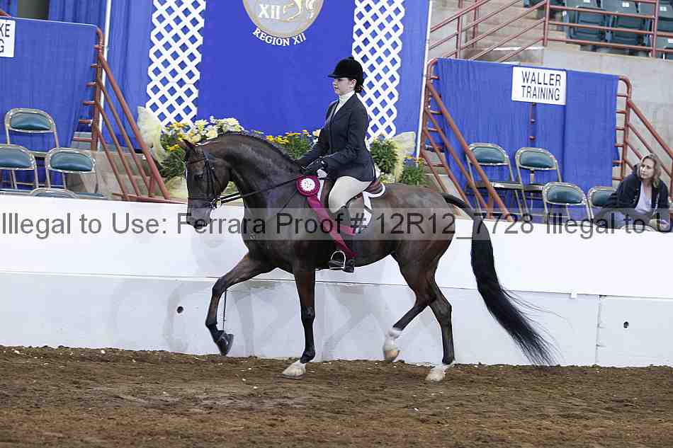 Proof Number 12r12_7728