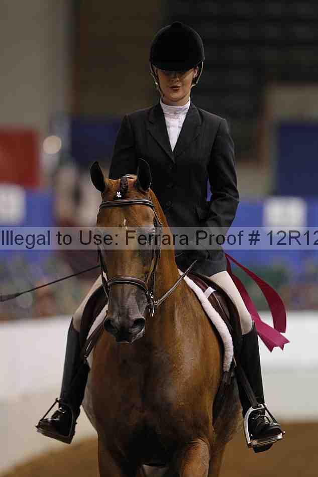 Proof Number 12r12_7732