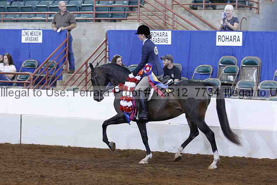 Proof Number 12r12_7734