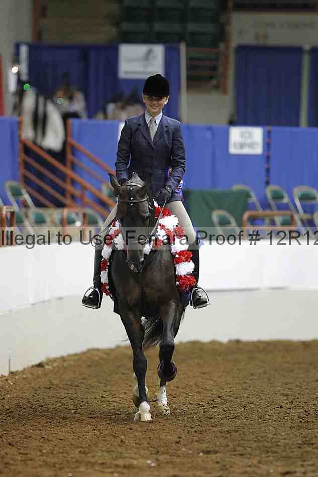 Proof Number 12r12_7738