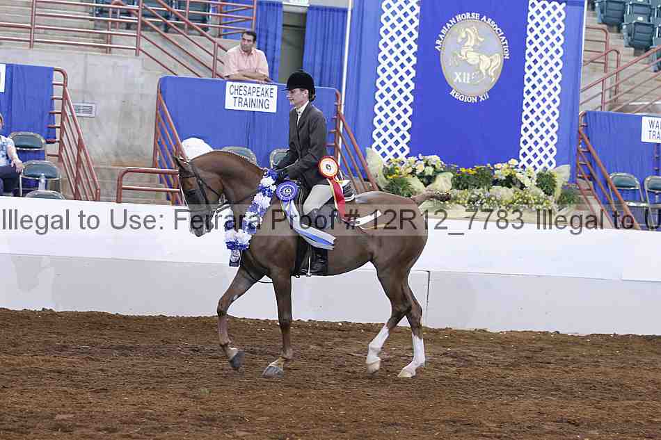 Proof Number 12r12_7783