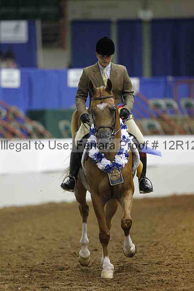 Proof Number 12r12_7793