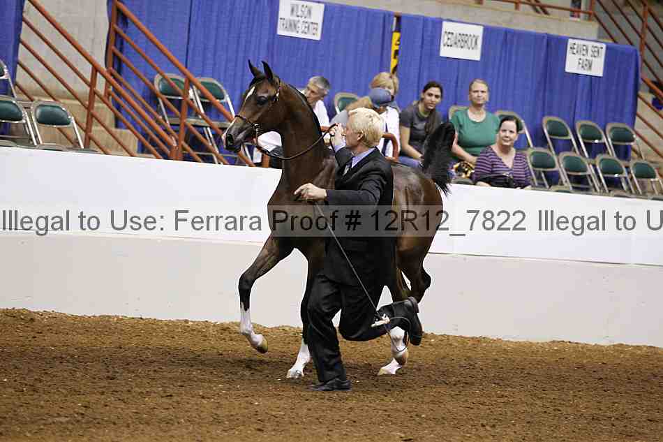 Proof Number 12r12_7822