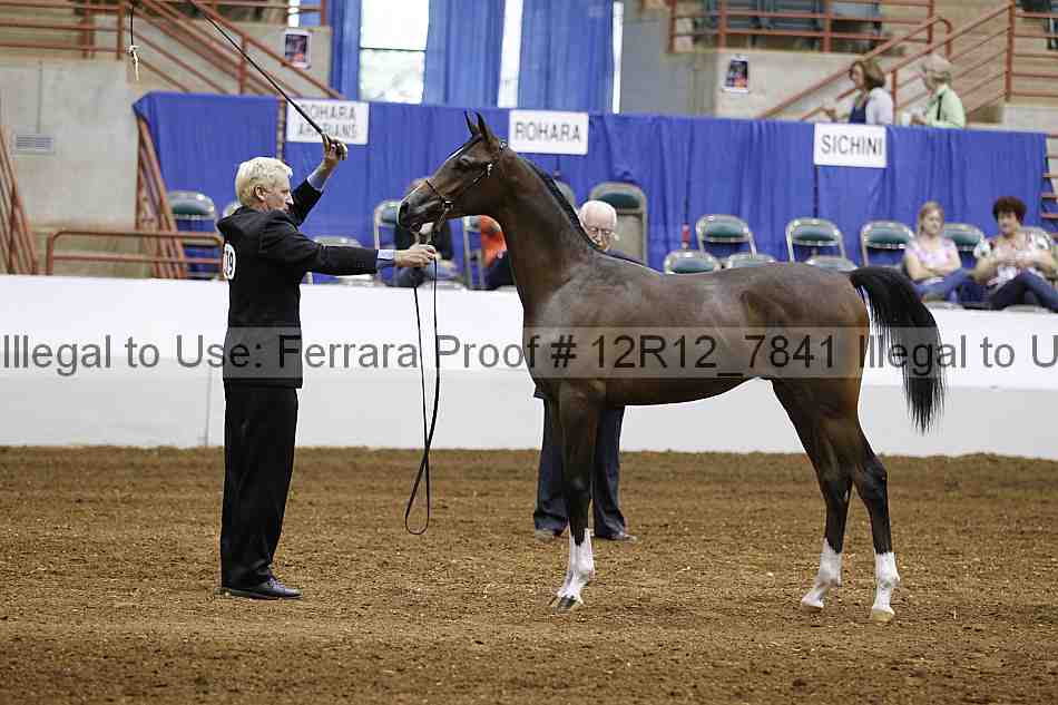 Proof Number 12r12_7841
