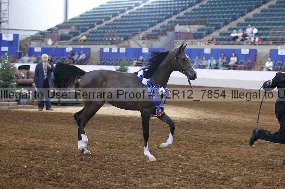 Proof Number 12r12_7854