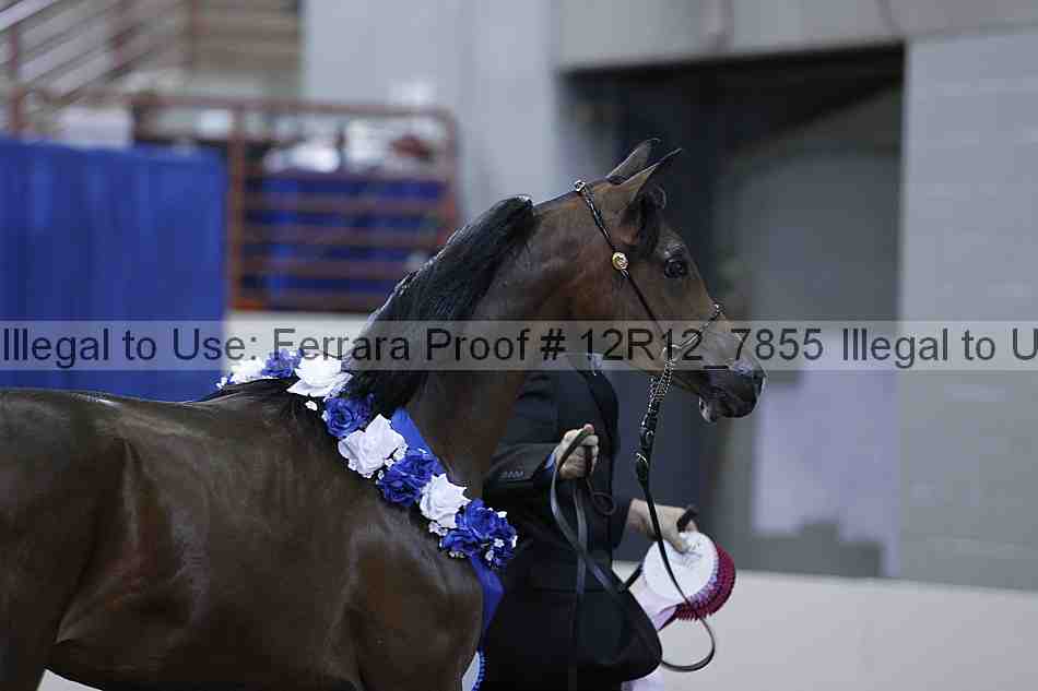 Proof Number 12r12_7855