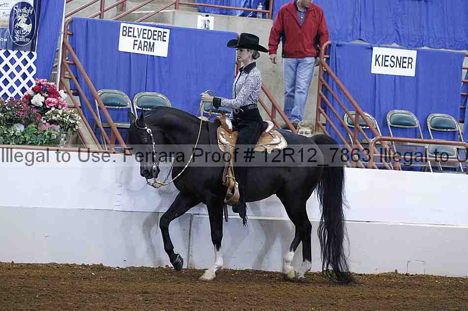 Proof Number 12r12_7863