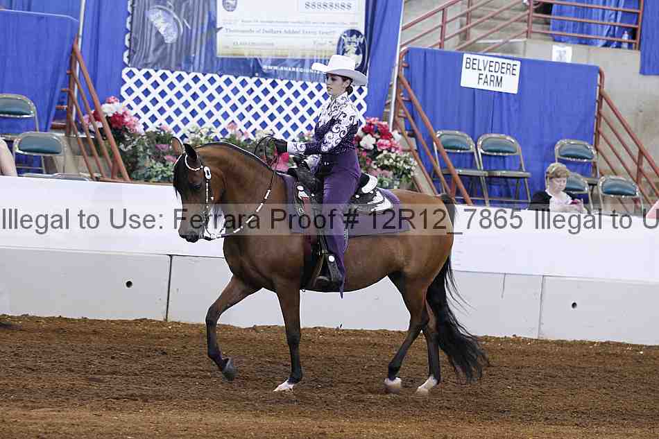 Proof Number 12r12_7865