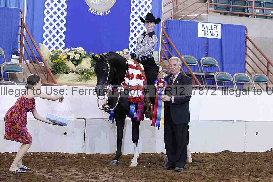 Proof Number 12r12_7872
