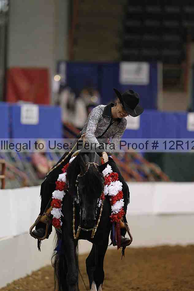 Proof Number 12r12_7877