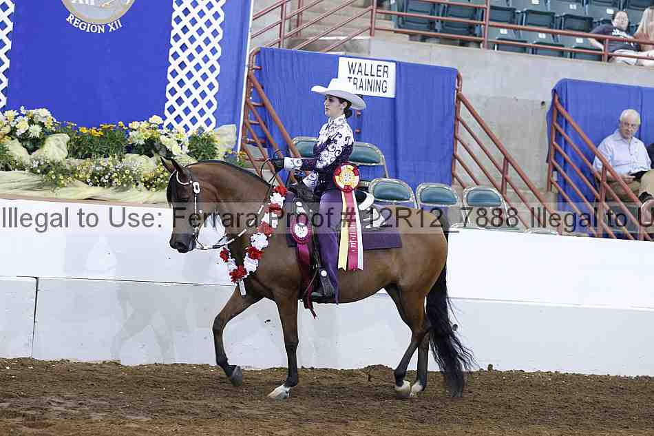 Proof Number 12r12_7888
