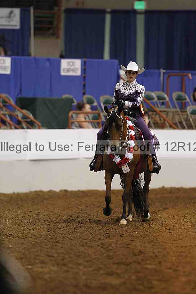 Proof Number 12r12_7894