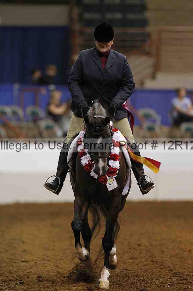Proof Number 12r12_7972