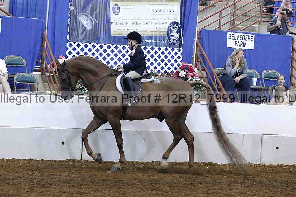 Proof Number 12r12_7999