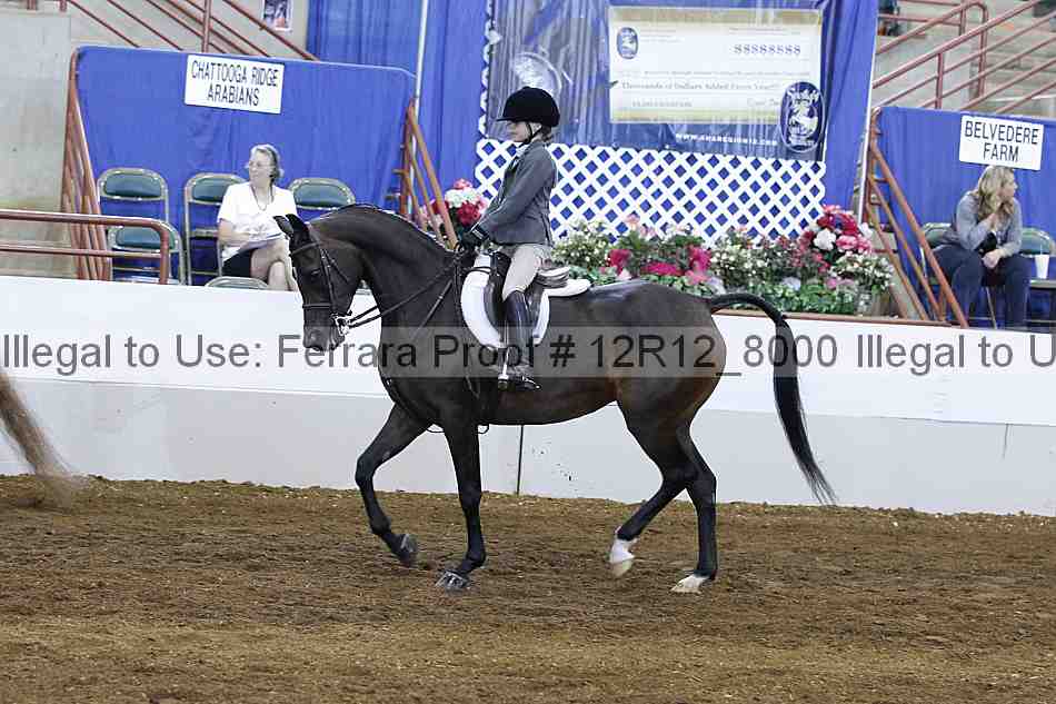 Proof Number 12r12_8000