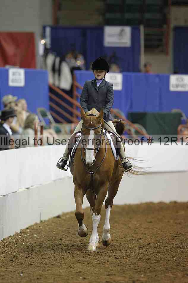Proof Number 12r12_8005