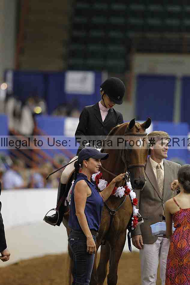 Proof Number 12r12_8023