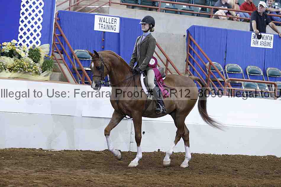 Proof Number 12r12_8030