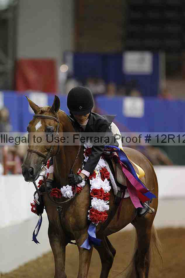 Proof Number 12r12_8050