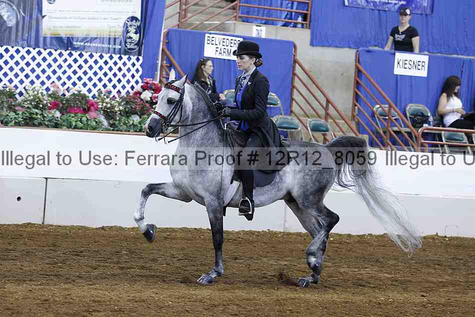 Proof Number 12r12_8059