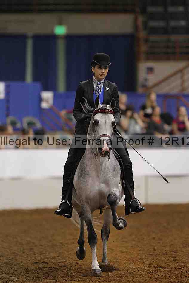 Proof Number 12r12_8064