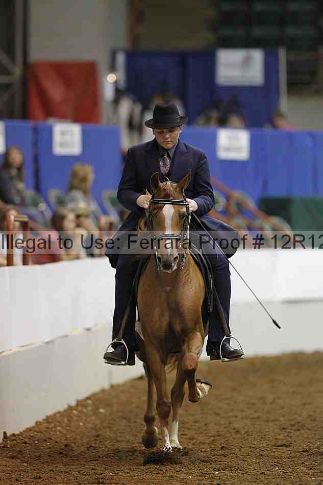 Proof Number 12r12_8065