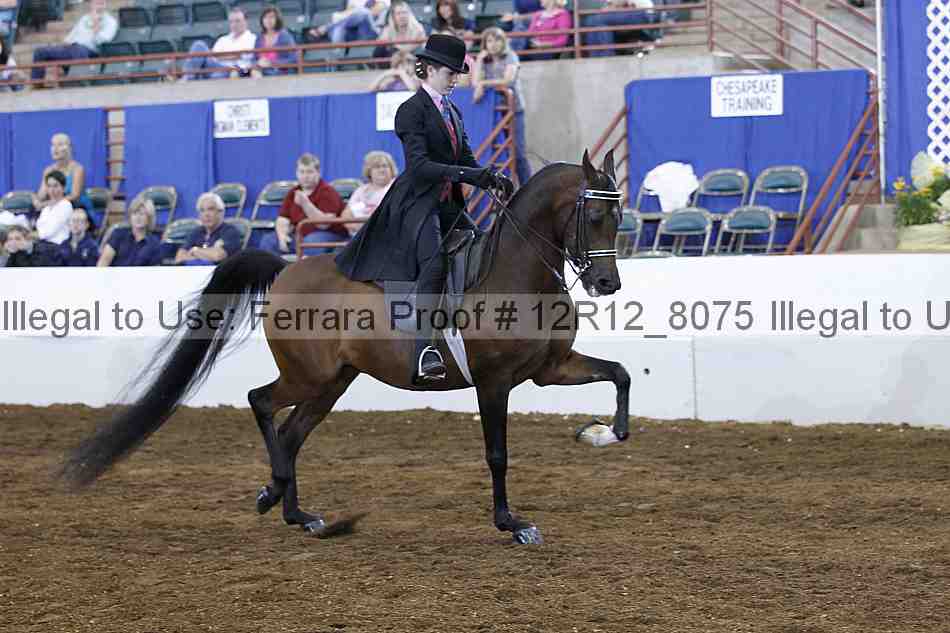 Proof Number 12r12_8075