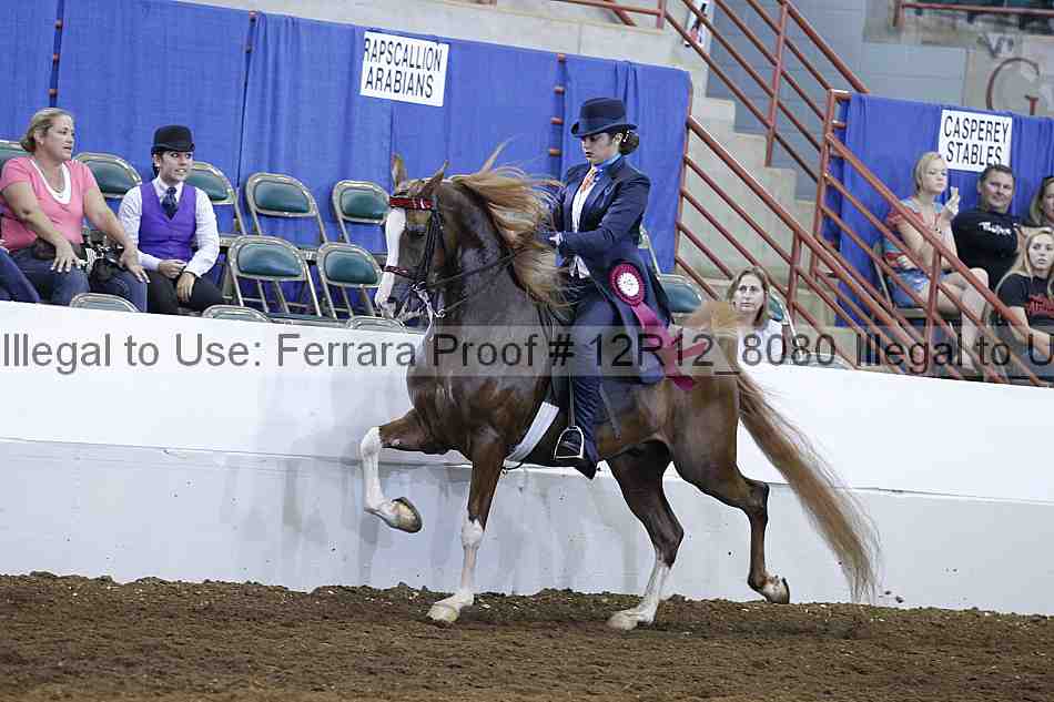 Proof Number 12r12_8080