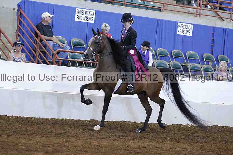 Proof Number 12r12_8082