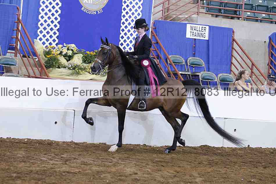Proof Number 12r12_8083
