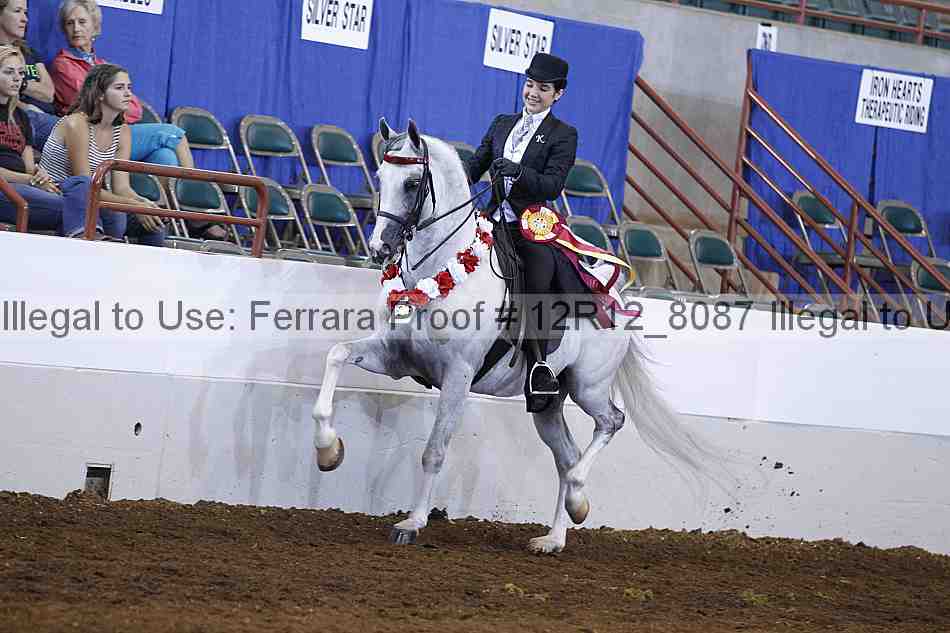 Proof Number 12r12_8087