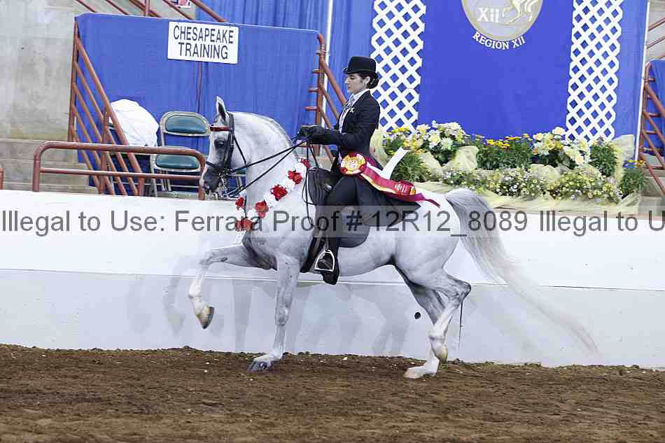 Proof Number 12r12_8089