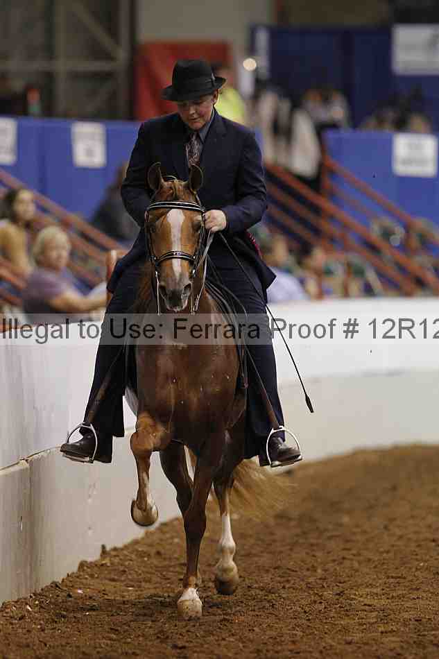Proof Number 12r12_8092