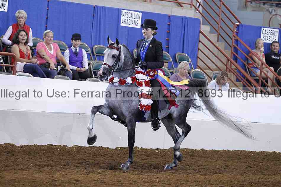 Proof Number 12r12_8093