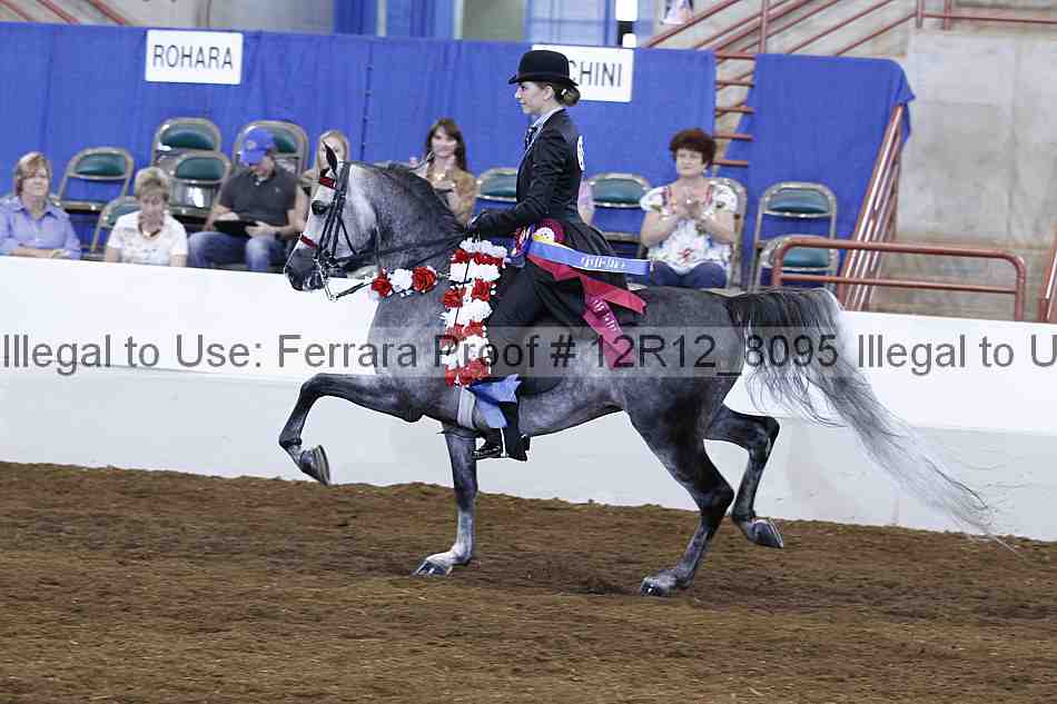 Proof Number 12r12_8095