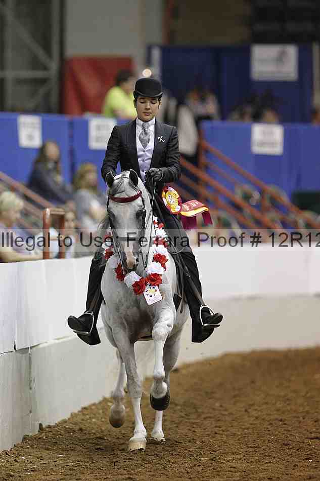 Proof Number 12r12_8096