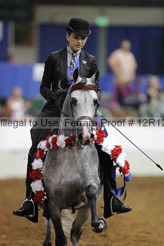 Proof Number 12r12_8098